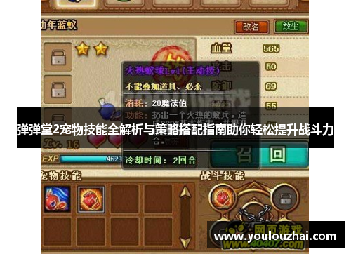 弹弹堂2宠物技能全解析与策略搭配指南助你轻松提升战斗力