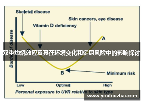 双重灼烧效应及其在环境变化和健康风险中的影响探讨